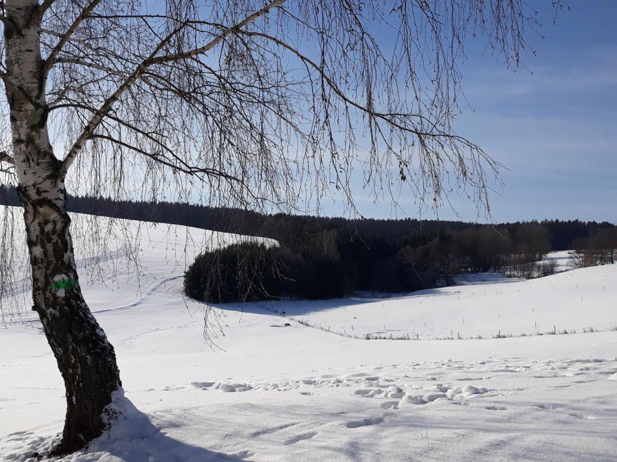 Chalupa Nad Popelkou Lomnice nad Popelkou Экстерьер фото